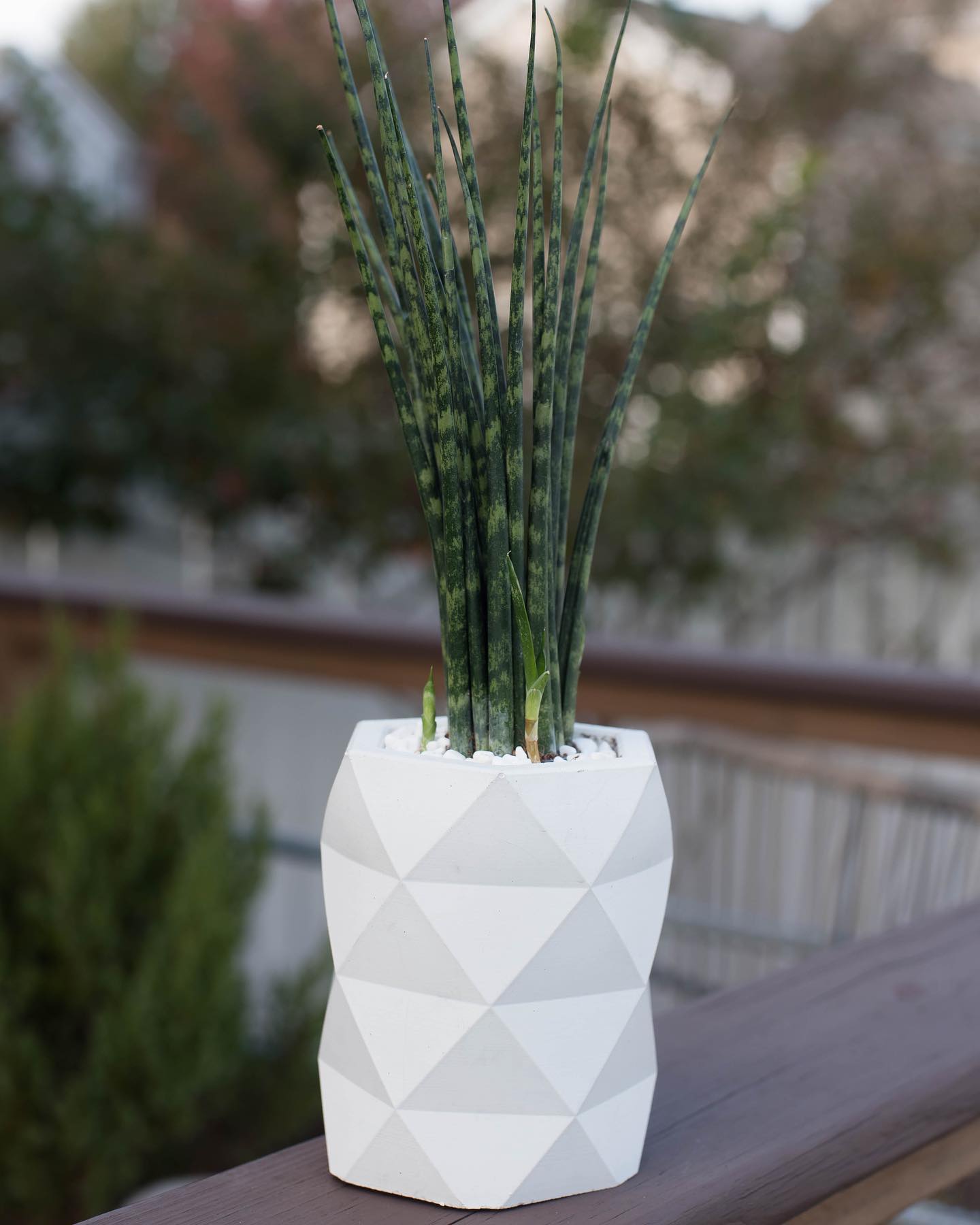 Concrete Geo Vase - made by kippen