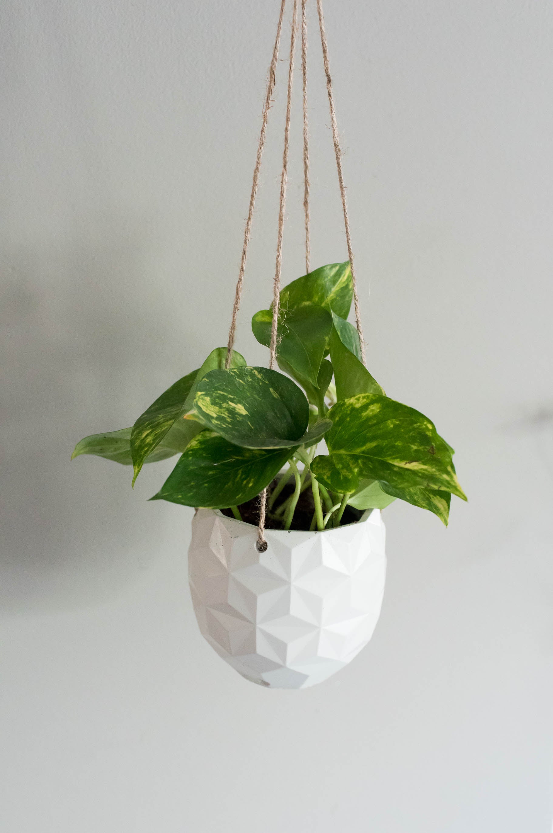 Geo Hanging Planter - made by kippen