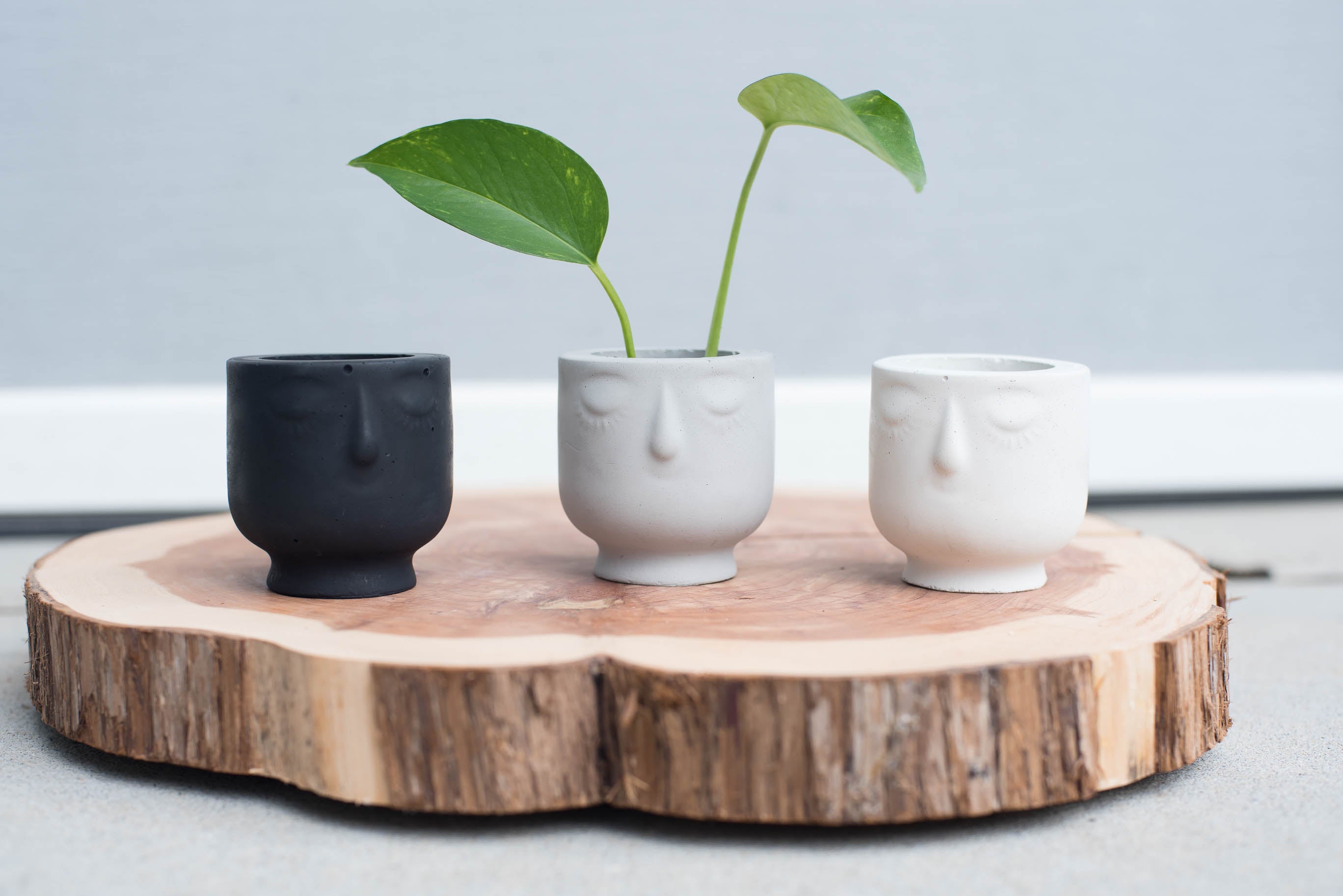 face pot plant holder Mini Face Pot