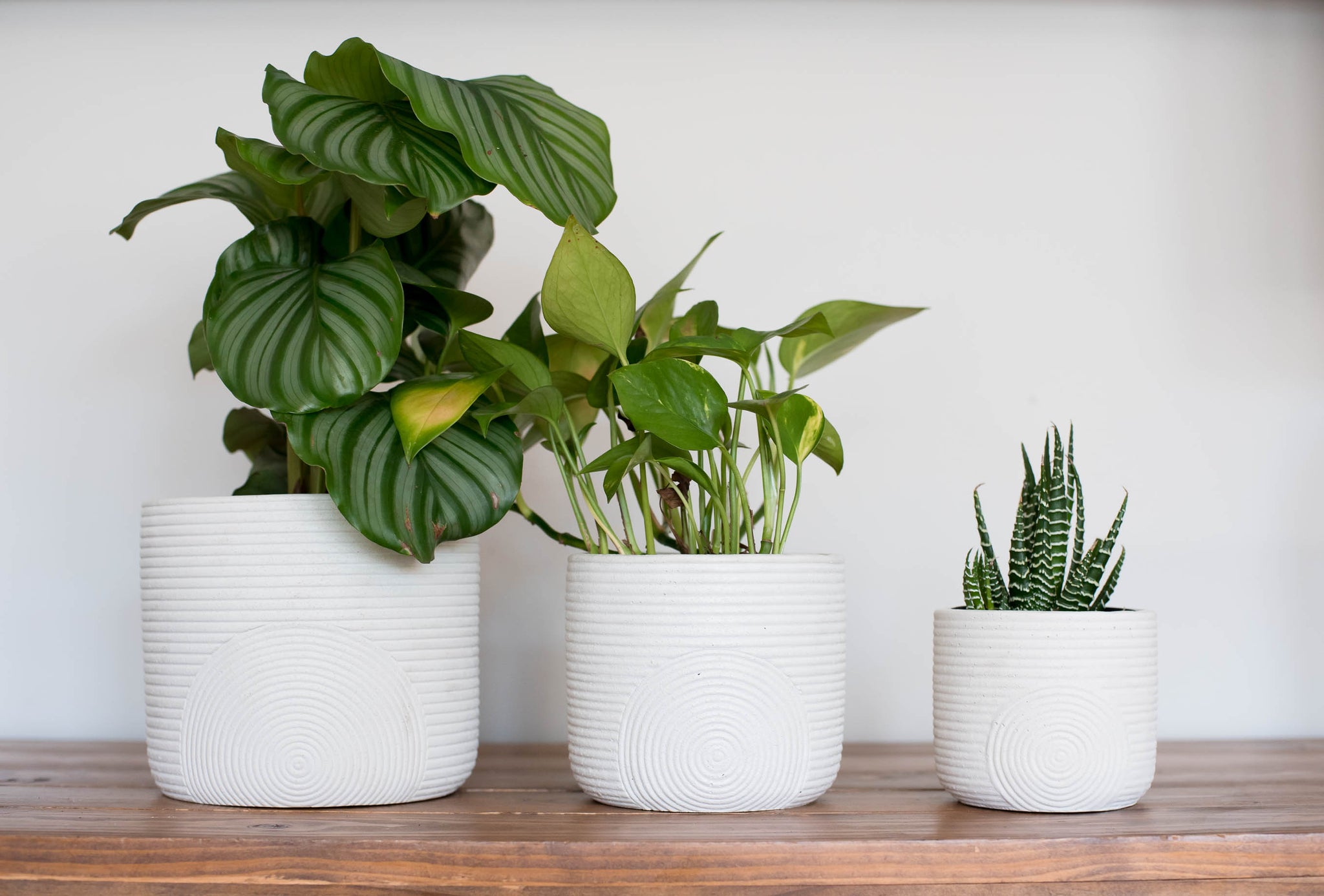 Handcrafted Danish white ceramic footed planter. Studio pottery indoor vase plant pot with deals decorative carvings. Ideal for small orchids.