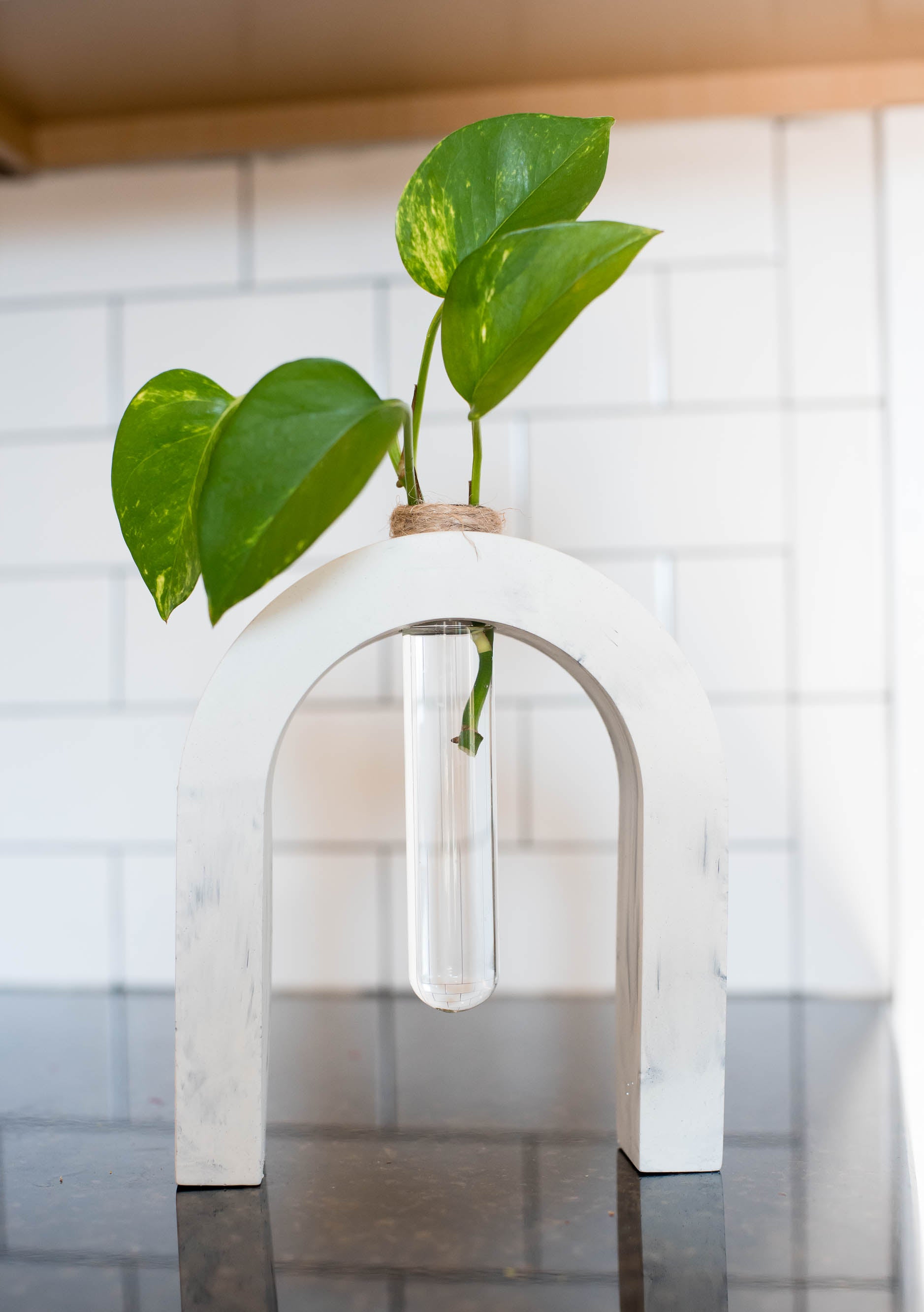 indoor plant propagation station Large Concrete Propagation Station