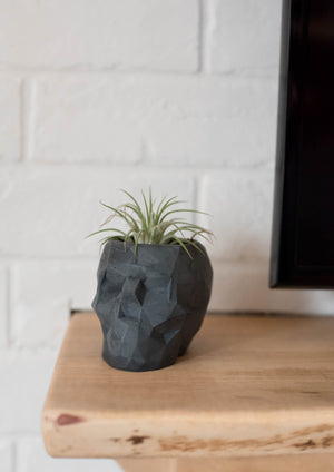 Geometric Skull Planter - made by kippen